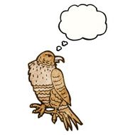 Cartoon Hawk N12