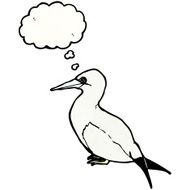 cartoon sea bird N3