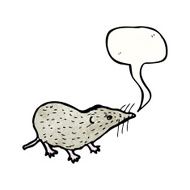shrew illustration N9