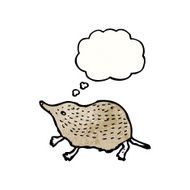 Cartoon Shrew N9