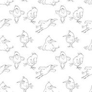 Birds N16
