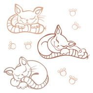 Sleeping cats N2