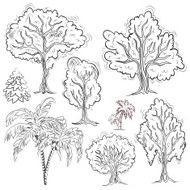 Set of isolated sketched trees