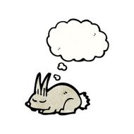 cartoon little rabbit sleeping N2