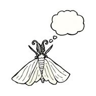 big white moth illustration N2