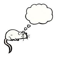 cartoon white mouse with thought bubble N23
