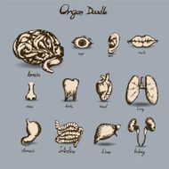 doodle health and medical set