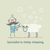 Specialist sheep shearing N4