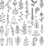 floral elements doodle