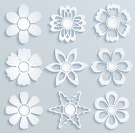 Paper flowers