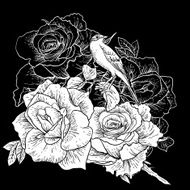 Beautiful Rose Background with Birds