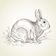 Antique easter rabbit N2