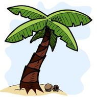 Tropical palm tree colorful sketch