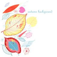 Autumn Background N6
