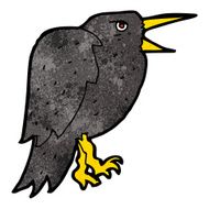 Cartoon Crow N48