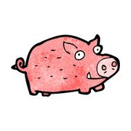 Cartoon Pig N81