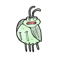 funny cartoon bug N4