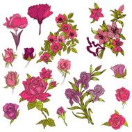 Detailed Hand Drawn Flowers