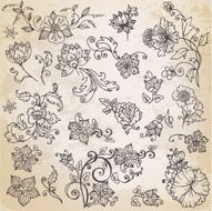 Beautiful floral elements retro flowers