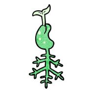 cartoon seedling N13