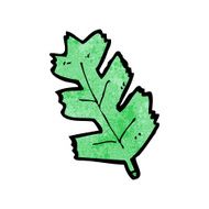 Cartoon Leaf N122