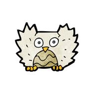 Cartoon Little Owl N31