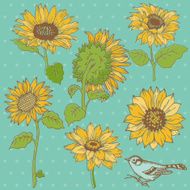 sunflower background N3