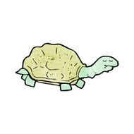Cartoon Tortoise N74