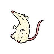 cartoon white lab rat N14