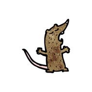 Cartoon Rat N42