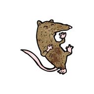Cartoon Rat N43