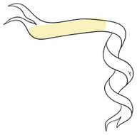 ribbon N3