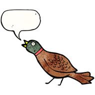 cartoon pheasant N4