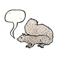 Squirrel Illustration N3