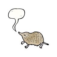 shrew illustration with speech bubble N2