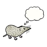 shrew illustration N10