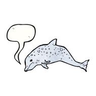 dolphin illustration N6