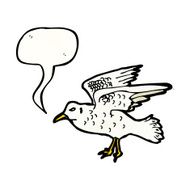 Cartoon Seagull N9