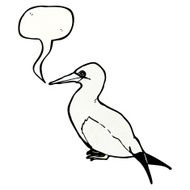 Cartoon Seagull N10