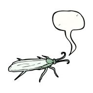 insect illustration N7