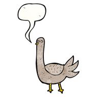 Cartoon Pigeon N38