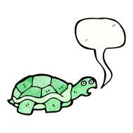 Cartoon Tortoise N80