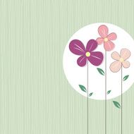 spring flowers N7