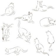 Cats sketches set