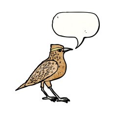 bird illustration with speech bubble N5