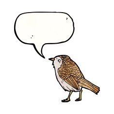 bird illustration with speech bubble N6