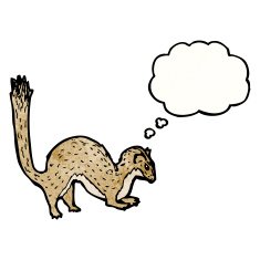 weasel illustration N2
