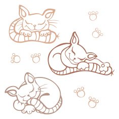 Sleeping cats N2
