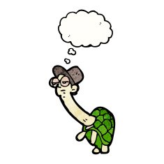 cartoon tortoise man N3