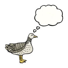 bird with thought bubble N3